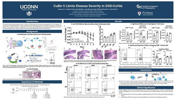 Cullin 5 Limits Disease Severity in DSS-Colitis