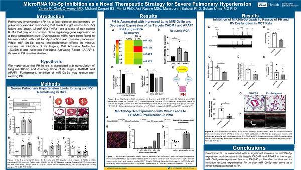 MicroRNA10b-5p Inhibition as a Novel Therapeutic Strategy for Severe Pulmonary Hypertension