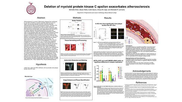 Deletion of myeloid protein kinase C epsilon exacerbates atherosclerosis