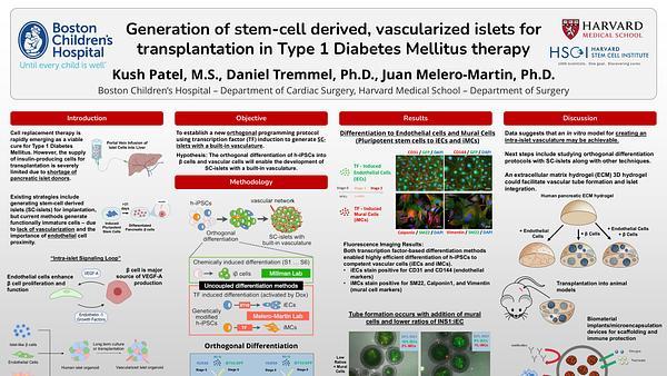 Generation of stem-cell derived, vascularized islets for transplantation in Type 1 Diabetes Mellitus therapy.
