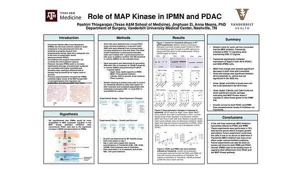 Role of MAP Kinase in IPMN and PDAC