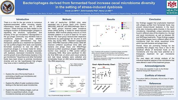 Bacteriophages derived from fermented food increase cecal microbiome diversity in the setting of stress-induced dysbiosis
