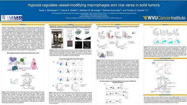 Hypoxia regulates vessel-modifying macrophages and vice versa in solid tumors
