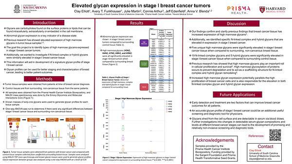 Elevated glycan expression in stage I breast cancer tumors