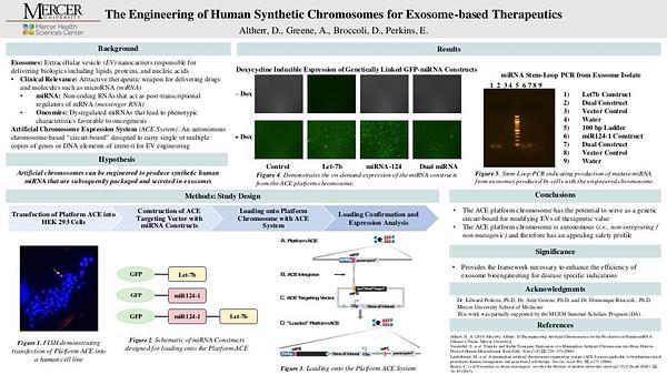The Engineering of Human Synthetic Chromosomes for Exosome-based Therapeutics