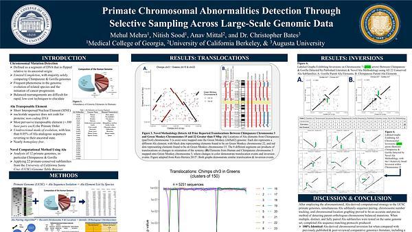 Primate Chromosomal Abnormalities Detection Through Selective Sampling Across Large-Scale Genomic Data
