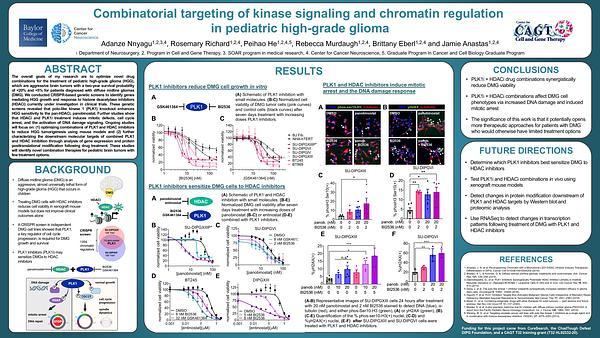 Combinatorial targeting of kinase signaling and chromatin regulation to treat pediatric high grade glioma