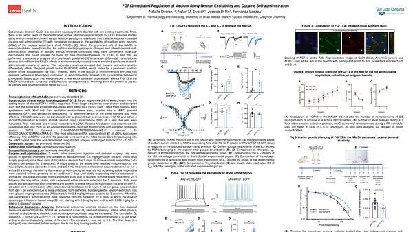 FGF13-mediated Regulation of Medium Spiny Neuron Excitability and Cocaine Self-administration