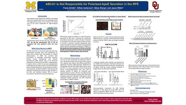 ABCA1 is Not Responsible for Polarized ApoE Secretion in the RPE