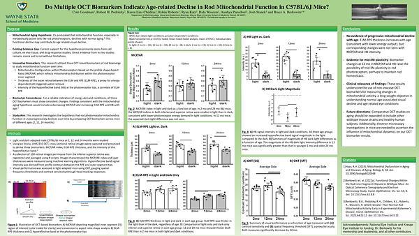 Do Multiple OCT Biomarkers Indicate Age-related Decline in Rod Mitochondrial Function in C57BL/6J Mice?