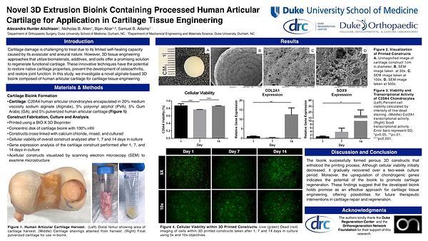 Novel 3D Extrusion Bioink Containing Processed Human Articular Cartilage for Application in Cartilage Tissue Engineering