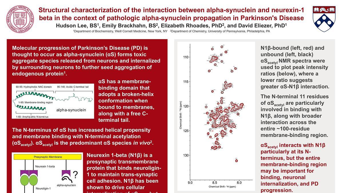 Lecture image placeholder