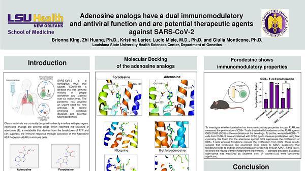 Adenosine analogs have a dual immunomodulatory and antiviral function and are potential therapeutic agents against SARS-CoV-2