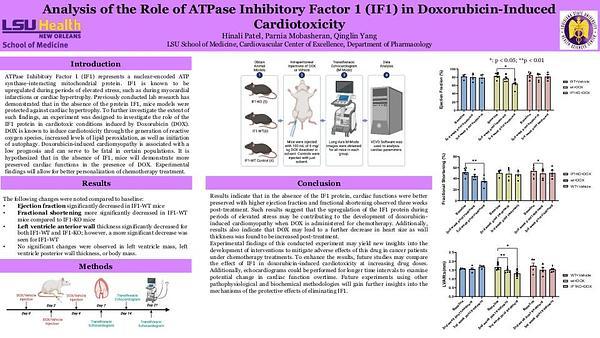 Analysis of the Role of ATPase Inhibitory Factor 1 (IF1) in Doxorubicin-Induced Cardiotoxicity