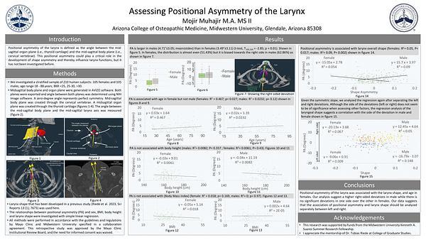 Assessing Positional Asymmetry of the Larynx