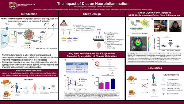 The Impact of Diet on Neuroinflammation