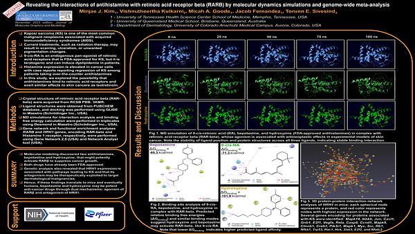 Revealing the interactions of antihistamine with retinoic acid receptor beta (RARB) by molecular dynamics simulations and genome-wide meta-analysis.