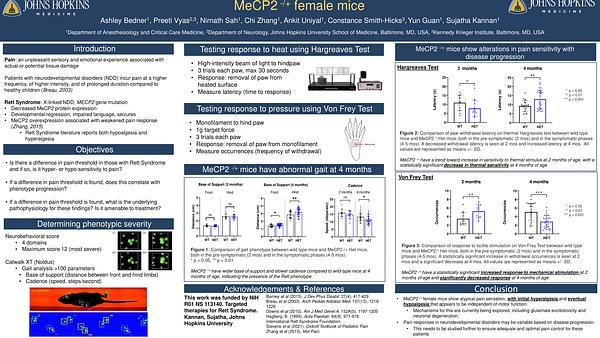 Changes in pain sensitivity with the progression of Rett Syndrome in MeCP2-/+ female mice