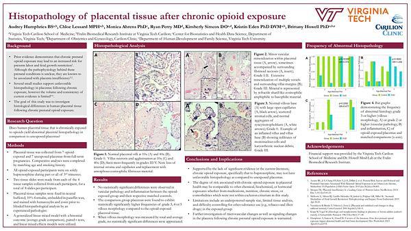 Histopathology of placental tissue after chronic opioid exposure