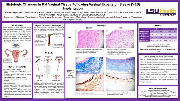 Histologic Changes in Rat Vaginal Tissue Following Vaginal Expansion Sleeve (VES) Implantation: Implications for Vaginal Agenesis Treatment