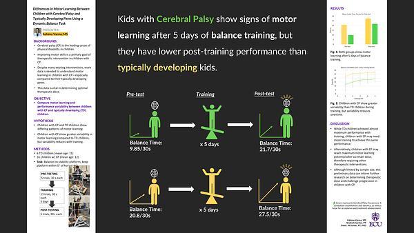 Differences in Motor Learning Between Children with Cerebral Palsy and Typically Developing Peers Using a Dynamic Balance Task