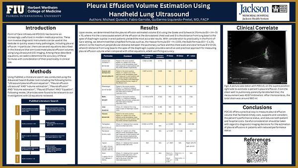 Pleural Effusion Volume Estimation Using Handheld Lung Ultrasound