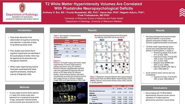T2 White Matter Hyperintensity Volumes Are Correlated With Poststroke Neuropsychological Deficits