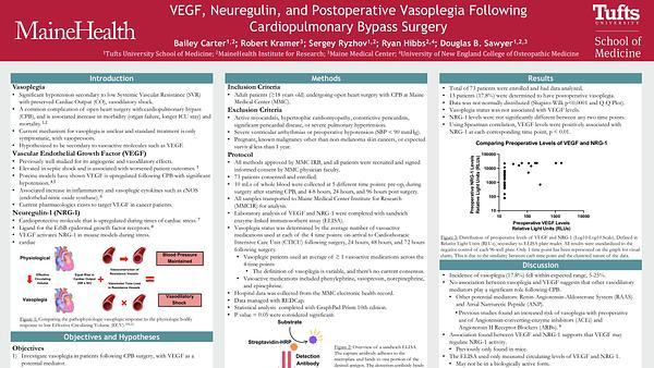 VEGF, Neuregulin, and Postoperative Vasoplegia Following Cardiopulmonary Bypass Surgery
