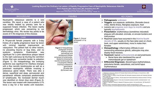Looking Beyond the Ordinary Lip Lesion: A Rapidly Progressive Case of Neutrophilic Sebaceous Adenitis