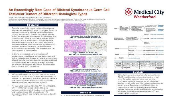 
Exceedingly Rare Bilateral Synchronous Germ Cell Testicular Tumors With Different Histopathological Features