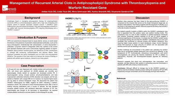 Management of Recurrent Arterial Clots in Antiphospholipid Syndrome with Thrombocytopenia and Warfarin Resistant Gene