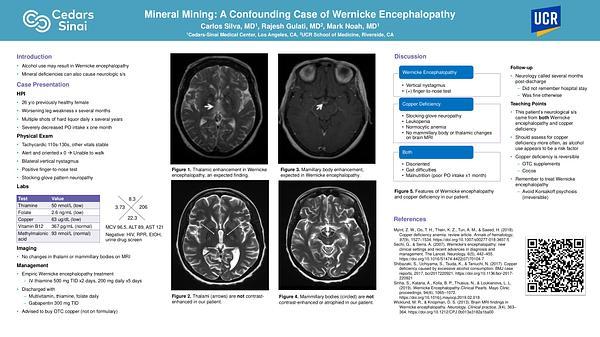 Mineral Mining: A Confounding Case of Wernicke Encephalopathy
