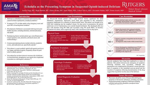 Echolalia as the Presenting Symptom of Opioid-Induced Delirium: A Case Report
