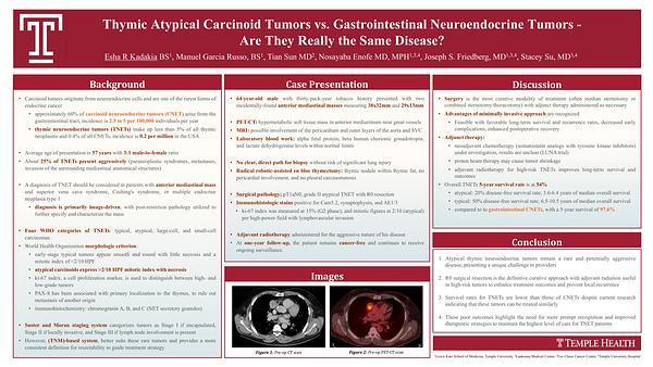Thymic Atypical Carcinoid Tumors vs. Gastrointestinal Neuroendocrine Tumors - 
Are They Really the Same Disease?