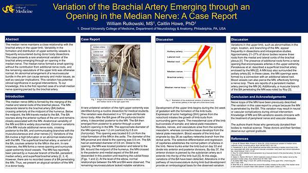 Variation of the Brachial Artery Emerging through an Opening in the Median Nerve: A Case Report
