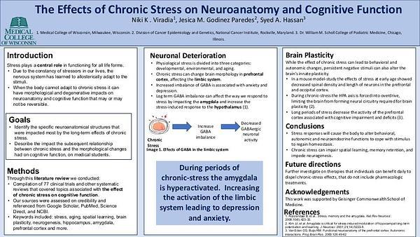 The Effects of Chronic Stress on Neuroanatomy and Cognitive Function