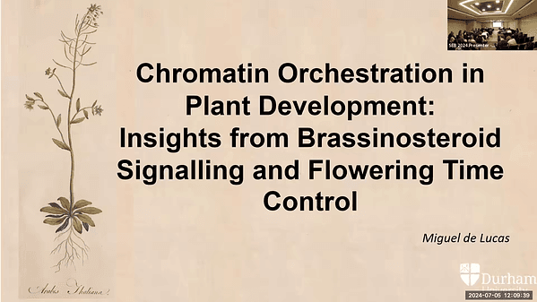 Chromatin Orchestration in Plant Development: Insights from Brassinosteroid Signaling and Flowering Time Control